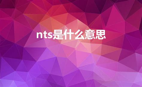 nts意思|NTS中文，NTS的意思，NTS翻譯及用法